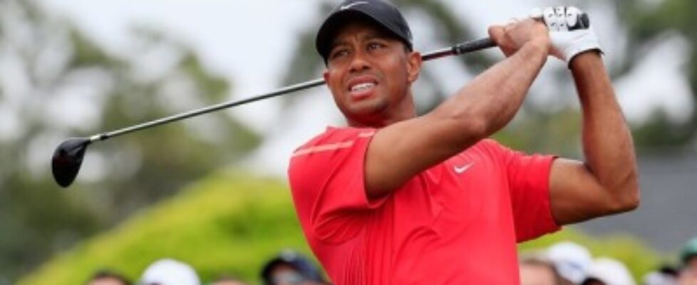 tiger woods dick pic leaked fore