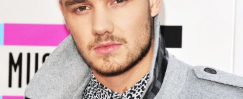 bulgecelebrity liam payne sex video soon