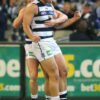 roscoe66 tom hawkins of the geelong cats