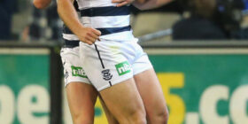 roscoe66 tom hawkins of the geelong cats