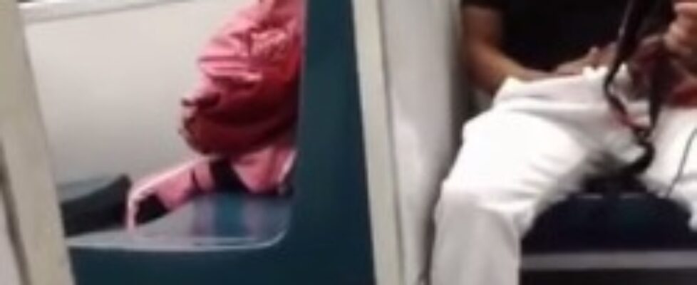 a dude was whipped his dick out on the train