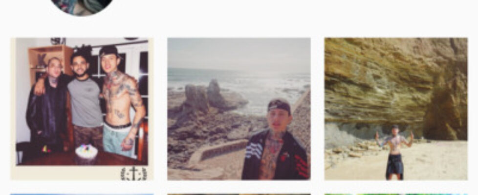 semi famous tatted singerguitarist of popular