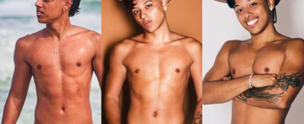 Clip of bruno vinicius (vinibrunou) showing off his curved cock